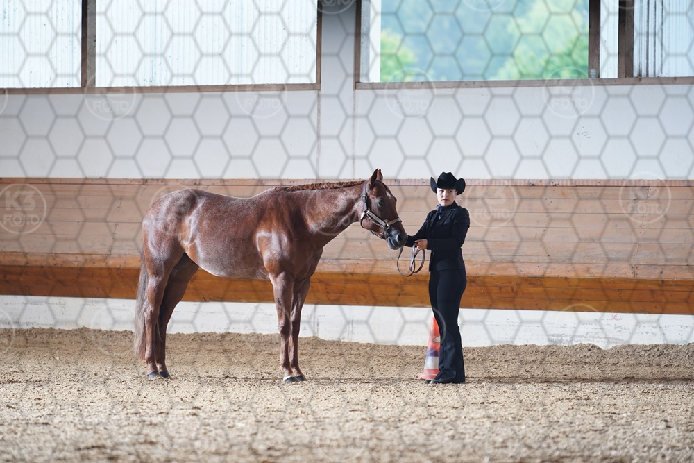 A9_00299.JPG